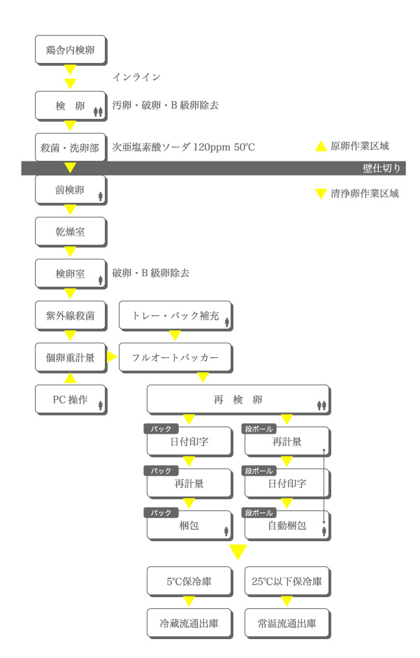GPセンターの作業工程