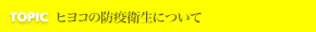 TOPIC ヒヨコの防疫衛生について