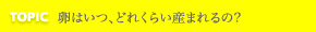 TOPIC 卵はいつ､どれくらい産まれるの?